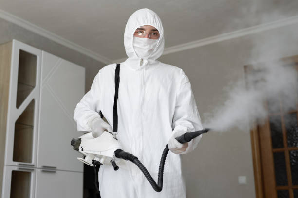 Best Emergency Mold Remediation in , MS